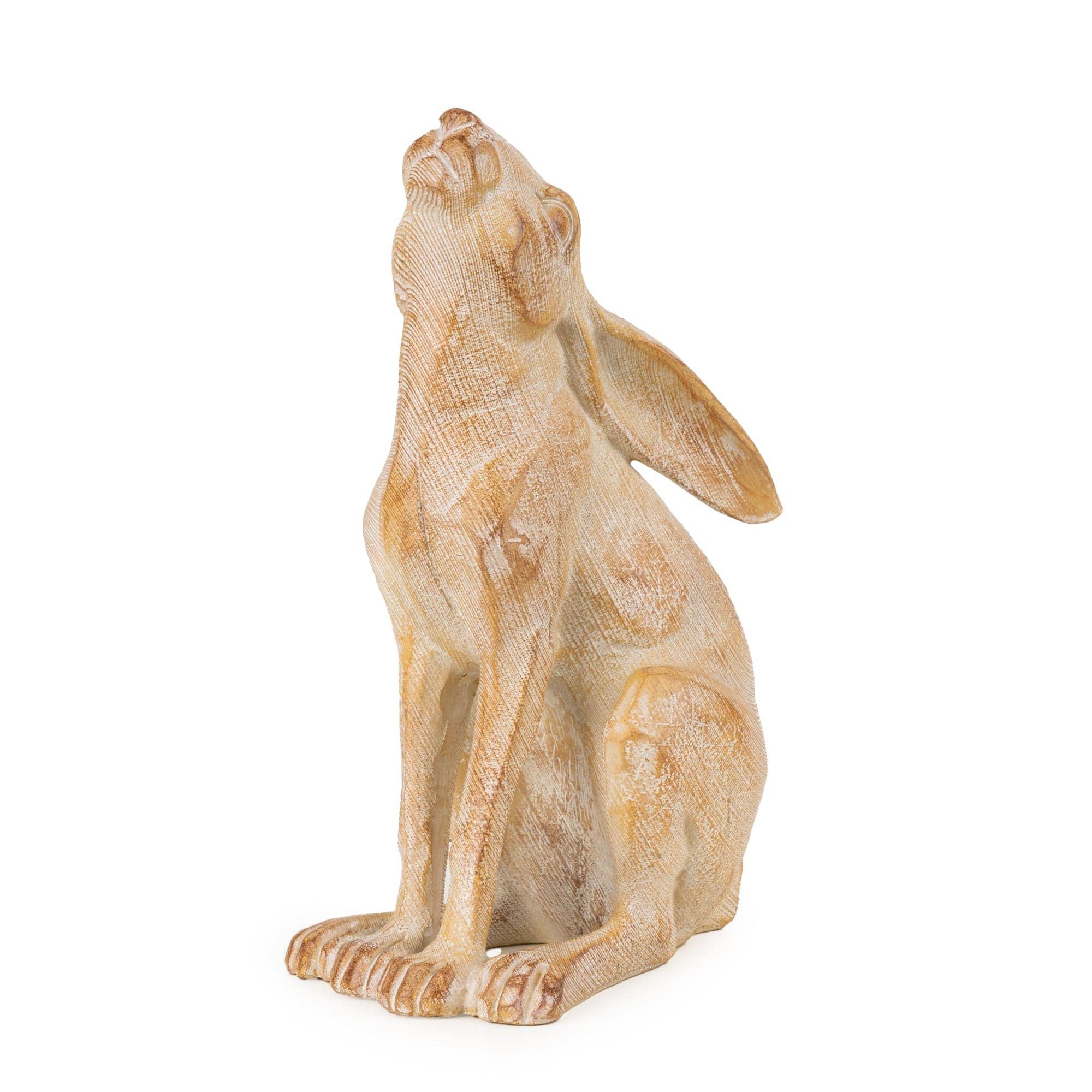 Gazing Hare