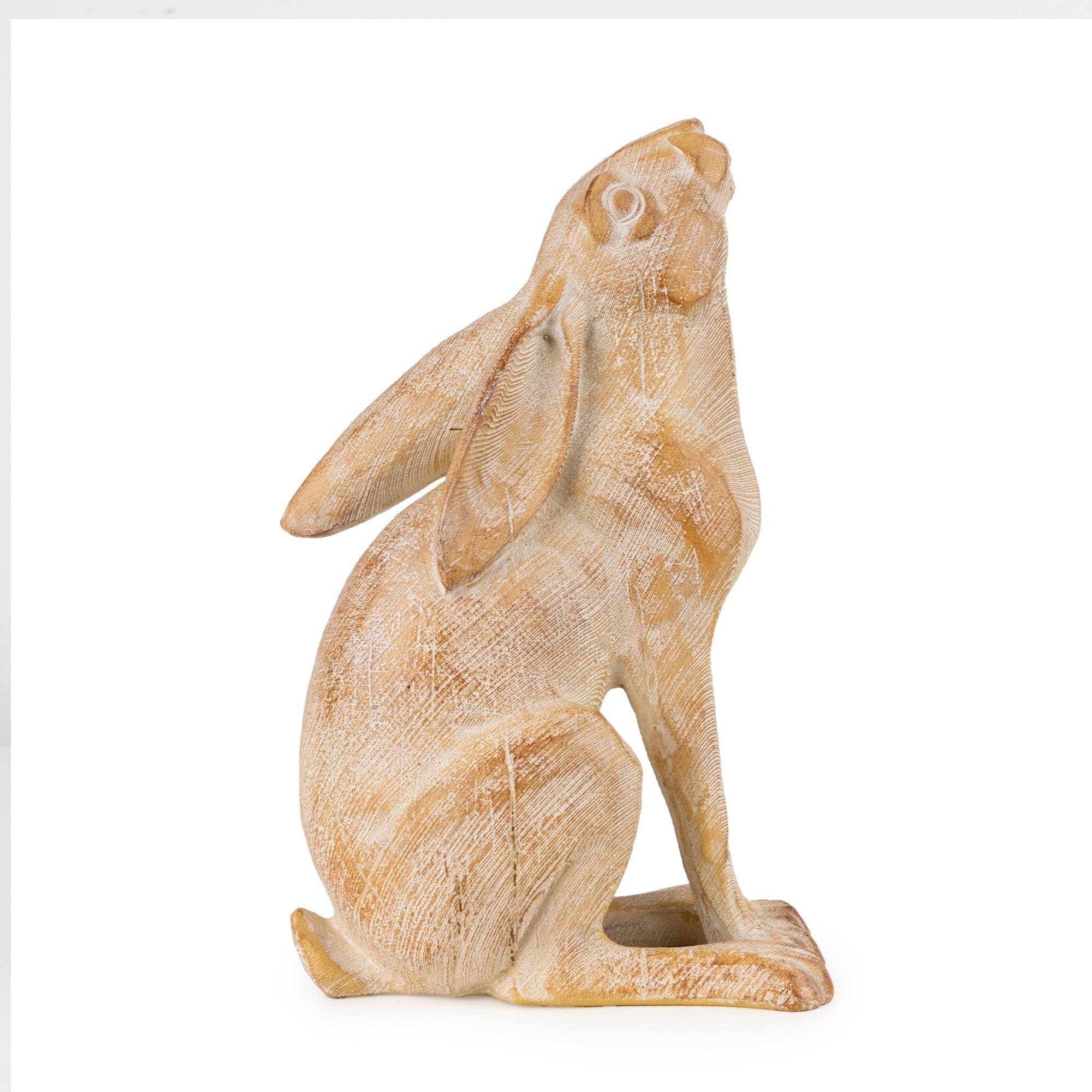 Gazing Hare