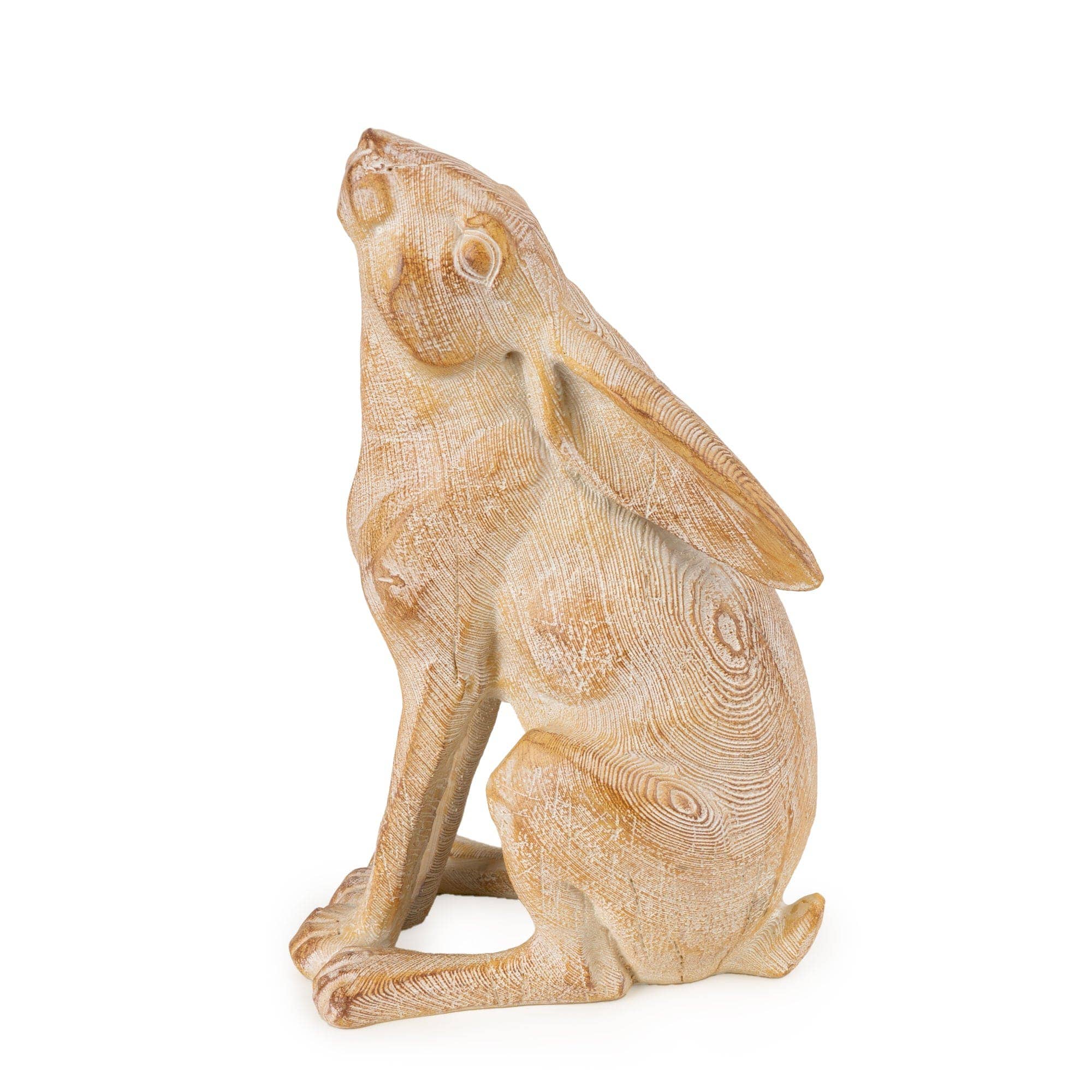 Gazing Hare
